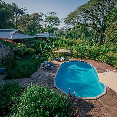Hotel The Hummingbird Bocas del Toro Zewnętrze zdjęcie