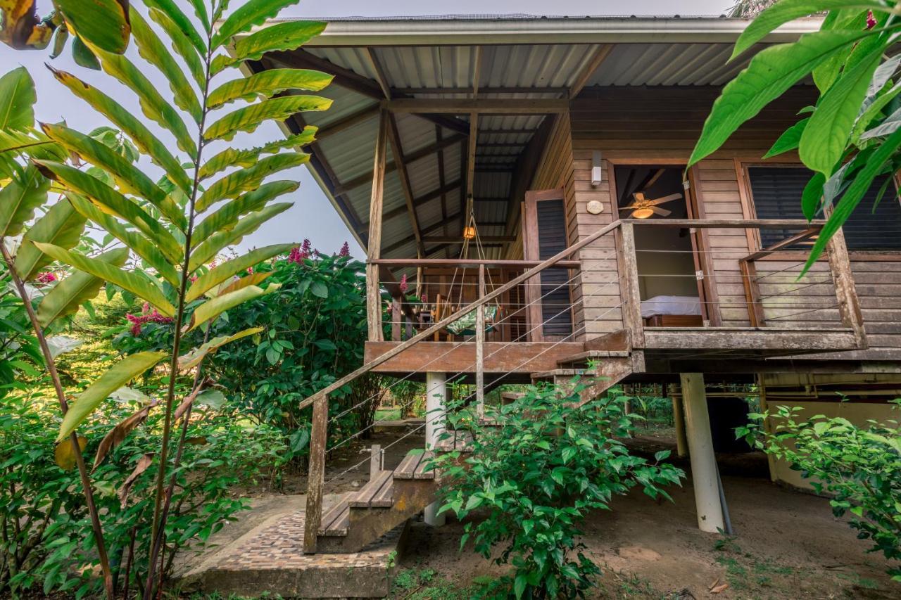 Hotel The Hummingbird Bocas del Toro Zewnętrze zdjęcie